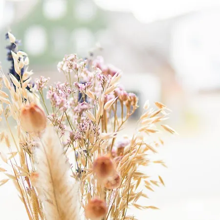 Zum Schrammel Gasthof